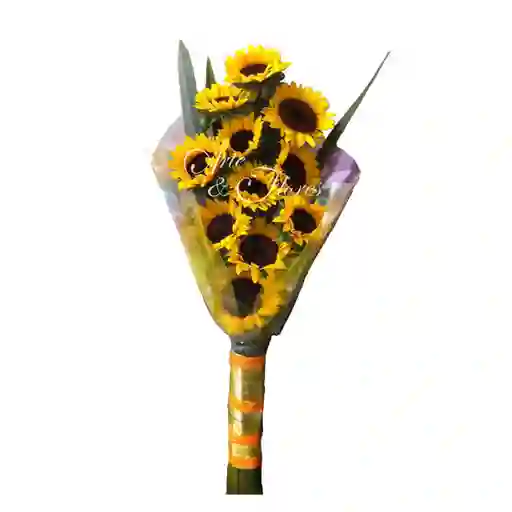 Bouquet De Girasoles 12 U