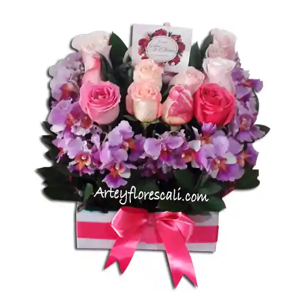 Orquidea Caja De Rosas