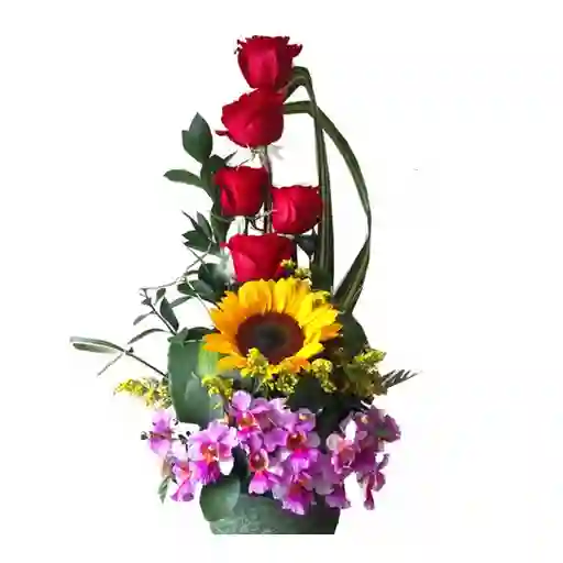 Arreglo Floral Sol De Orquideas