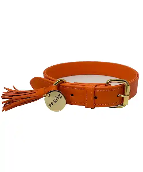 Collar Para Perro Cuero Naranja Talla S