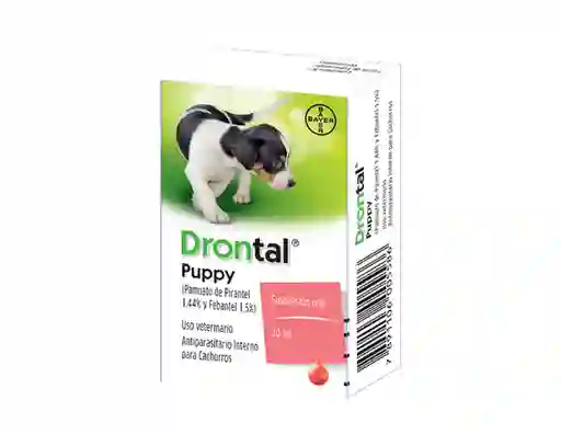 Drontal para Perro Cachorro