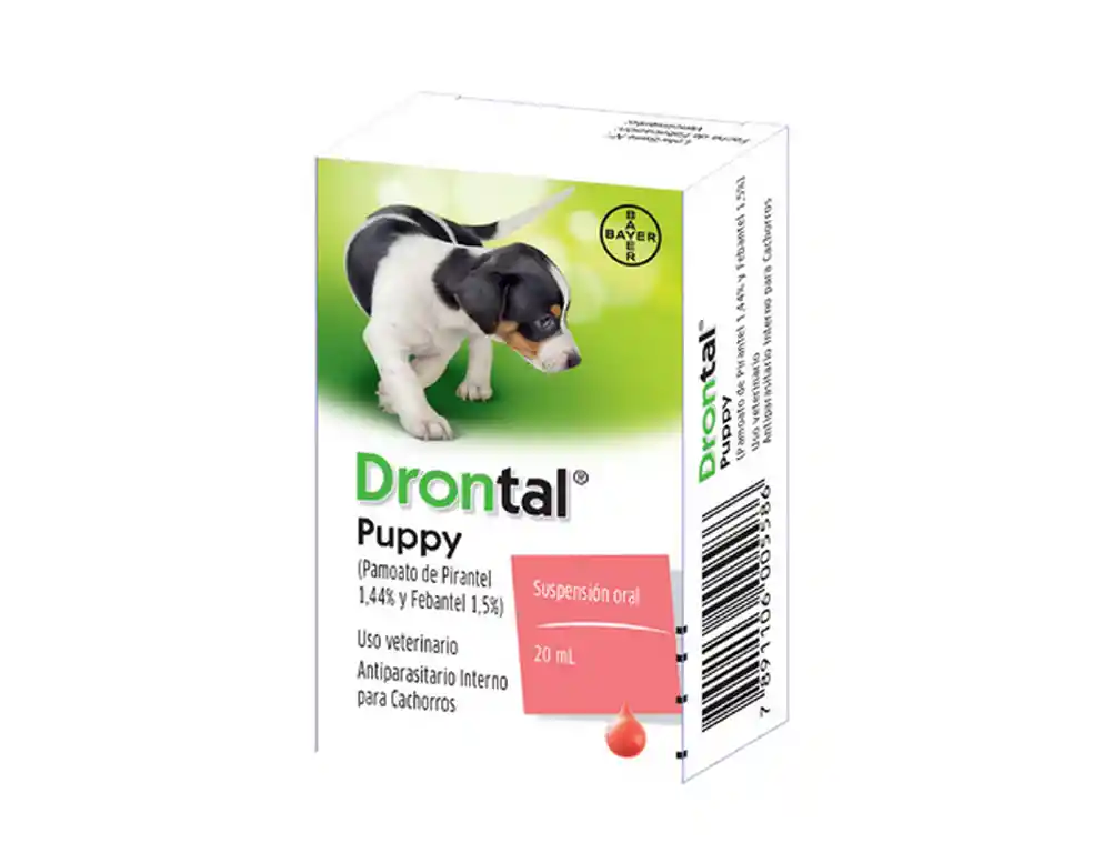Drontal para Perro Cachorro