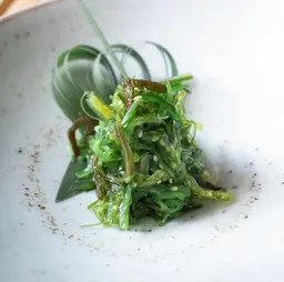Seaweed Salad (Veg.)