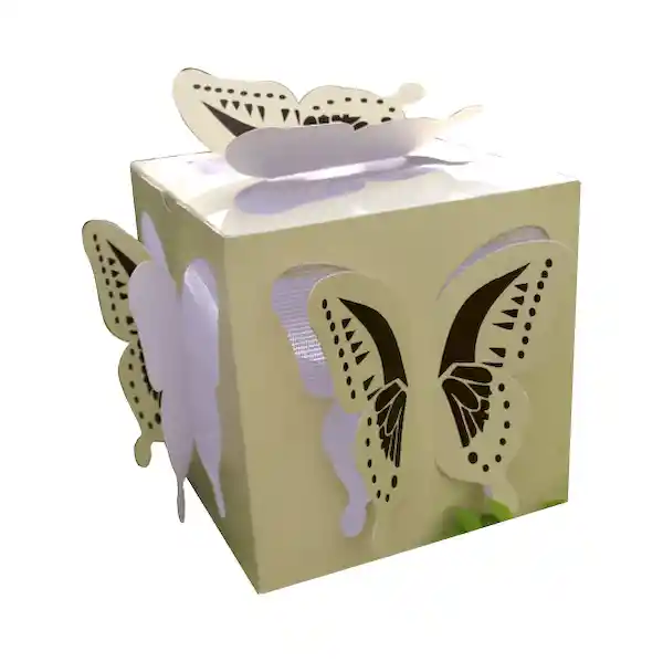 Regalo Cubo Mariposa Con 5 Mariposas