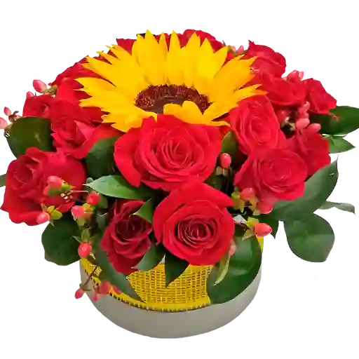 Caja Redonda en Rosas Rojas y Girasol