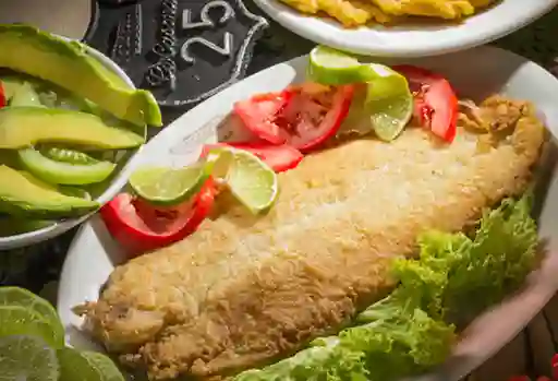 Filete de Pescado a la Plancha