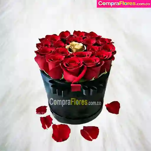 Cilindro de Rosas