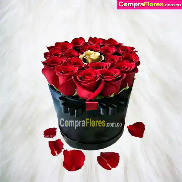 Cilindro de Rosas