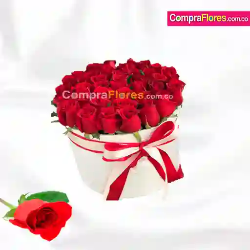 Cilindro de Rosas Grande