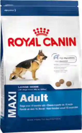 Royal Canin Alimento Para Perros Maxi Adult
