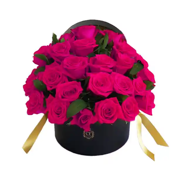 Ibiza - Dream Box Negro