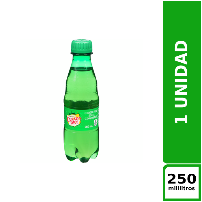 Canada Dry Ginger Ale 250 ml