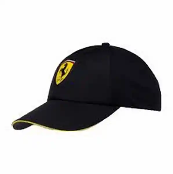 Gorra Sf Fanwear Trucker Black