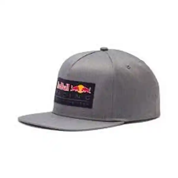 Gorra Rbr Lifestyle Flatbrim Gray