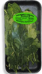 Gourmet Verona Lechuga Regula