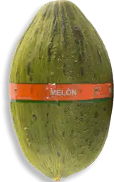 Melon Sugar