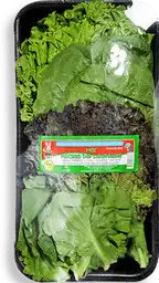 Hojas Lechuga Hidroponicas