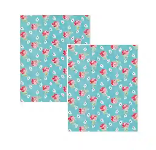 Papel Regalo 2 Hojas Carulla Hola Colina 1 und