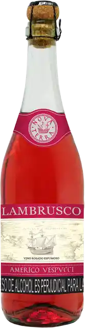 Amerigo Vespucci Vino Lambrusco Rosado