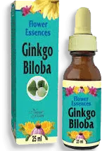 Natural Freshly Esencia Gingo Biloba Frasco 25 Mililitro