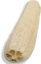 Estropajo Ud