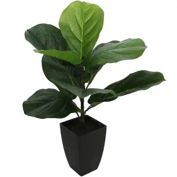 Planta Vivero 7 Sm 1 und