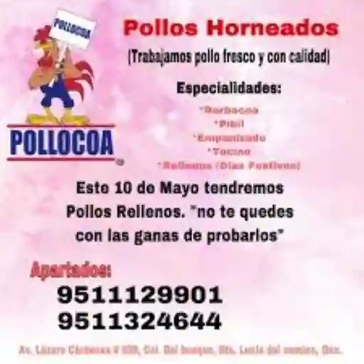 Pollo Coa Especialidades