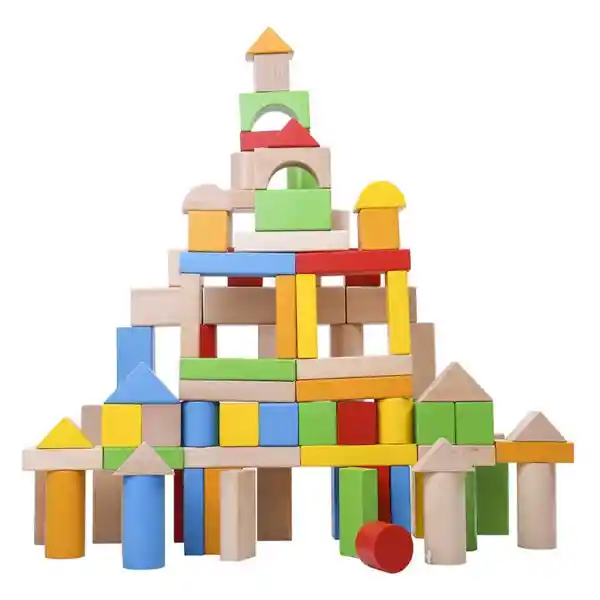 Wooden Blocks 100pcs