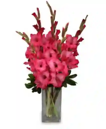 Bouquet Gladiolos Sm