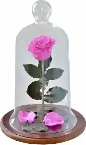 Rosa Encantada Grande