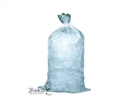 Foca Bolsa Grande de Hielo