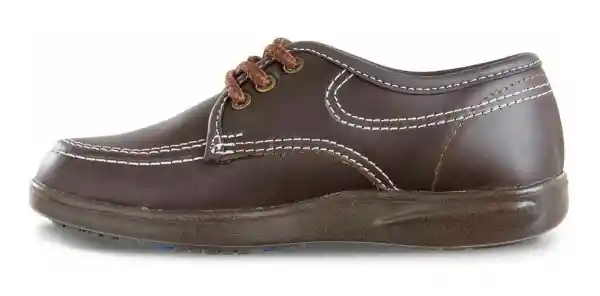 Zapatos Croydon Bachiller Cafe Talla 36  X 1 Unidad