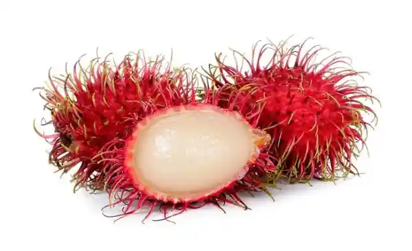 Rambutan