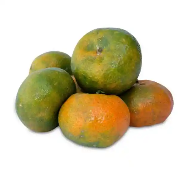 Mandarina Arrayana Unidad