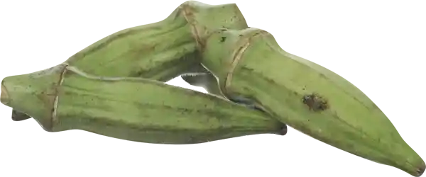 Okra