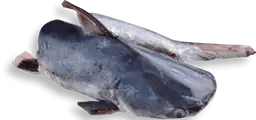 Alguacil Entero