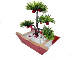 Bonsai Mediano  1 Und