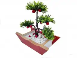 Bonsai Mediano  1 Und