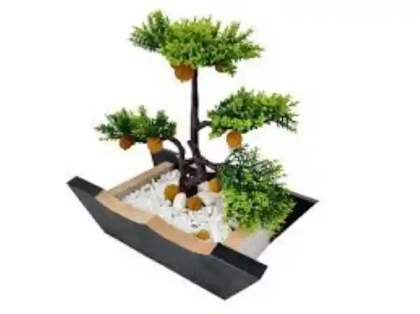 Bonsai Grande  1 Und