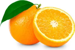 Naranja Navel Surtifruver