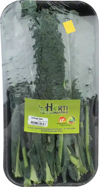 Horti Organiko lechuga kale