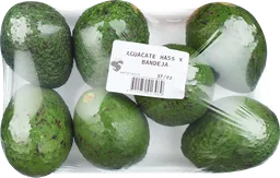 Hass Aguacate Criollo