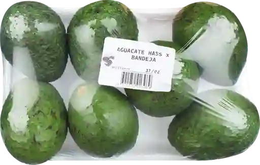 Hass Aguacate Criollo