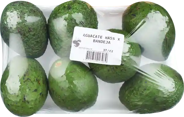 Hass Aguacate Criollo