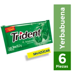 Trident Chicle Sabor a Yerbabuena Paquete