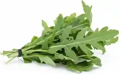 Carulla Rugula Baby