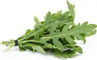 Carulla Rugula Baby