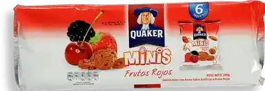 Quaker Galleta Mini Frutos Rojos