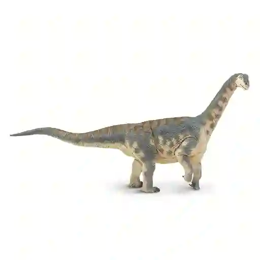 Camarasaurus Dinosaurio