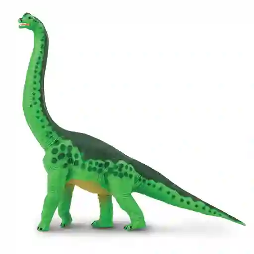 Brachiosaurus Dinosaurio